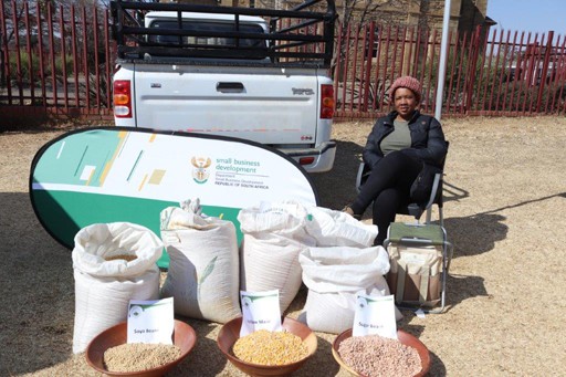 The Department of Small Business Development is committed to unlock the potential of women owned SMMEs, Co-operatives, Townships and Rural Enterprises.
